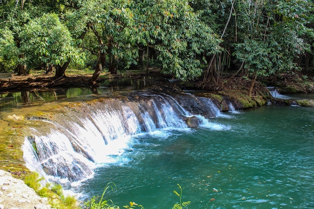 流れの中の水は、Kapo Waterfall Fores Parkで緑色で明るい緑の木です。