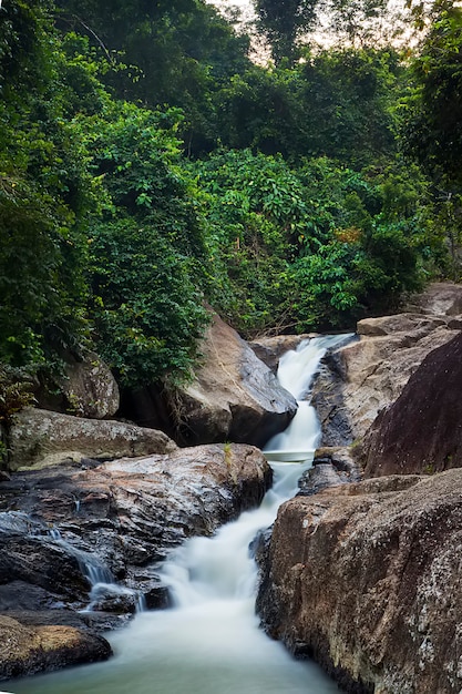 Water stream