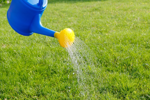 Water stroomt uit een blauwe plastic gieter met een gele diffuser op een groen gazon