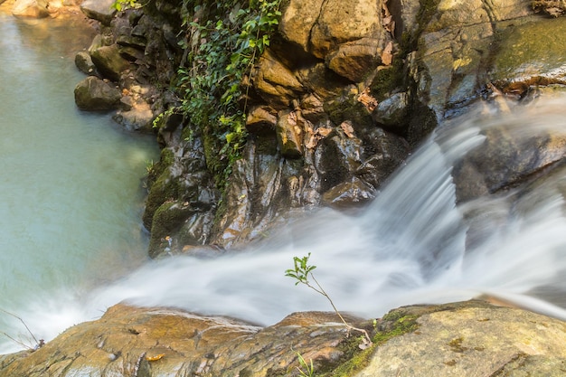 Water stroomt Waterval Natuurlijke achtergrond