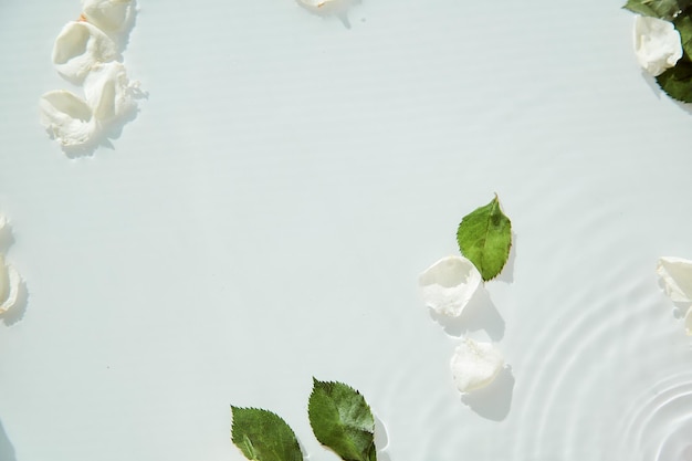 흰색 장미 꽃잎과 잎이 있는 수면 질감 흰색 섬세한 배경 복사 공간 고품질 사진