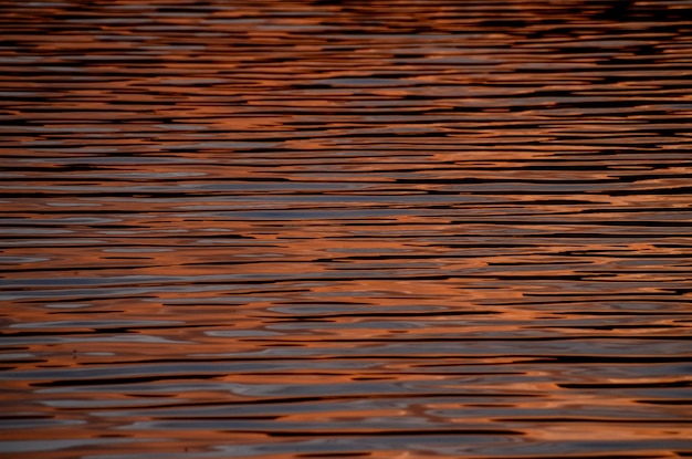 Water Texture Pattern at Sunset on the Atlantic Ocean