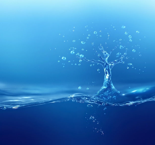 Photo water tree made from water splash