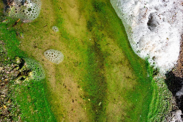 Water verontreinigd met dode groene algen en wit schuim rondom