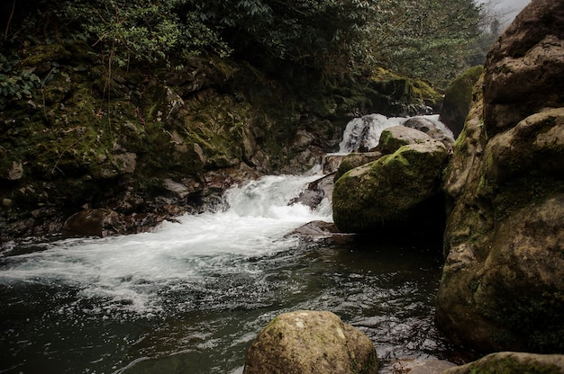 조지아의 아프로디테 온천에서 이끼 덮은 돌에서 떨어지는 야생 산 강의 물