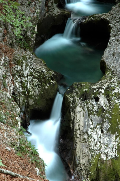 Watercascade in het bos