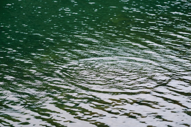 Watercirkels in wateroppervlaktetextuur het meer