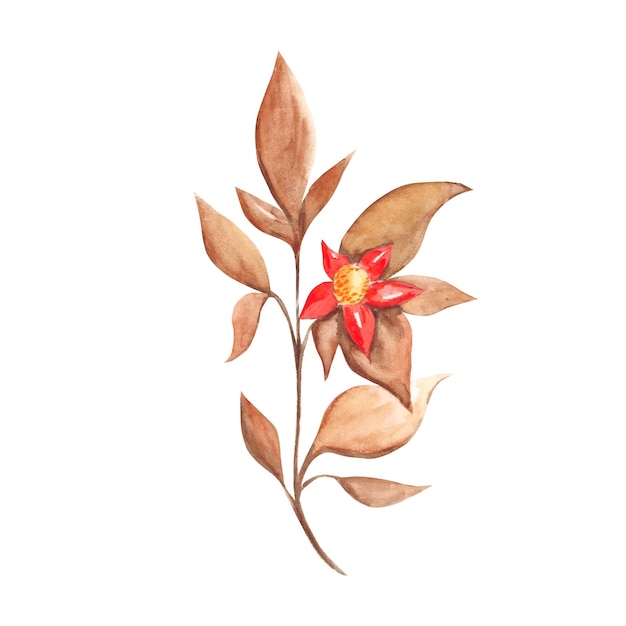 Акварель абстрактная осенняя ветвь с ботанической иллюстрацией красного цветка на белом фоне может