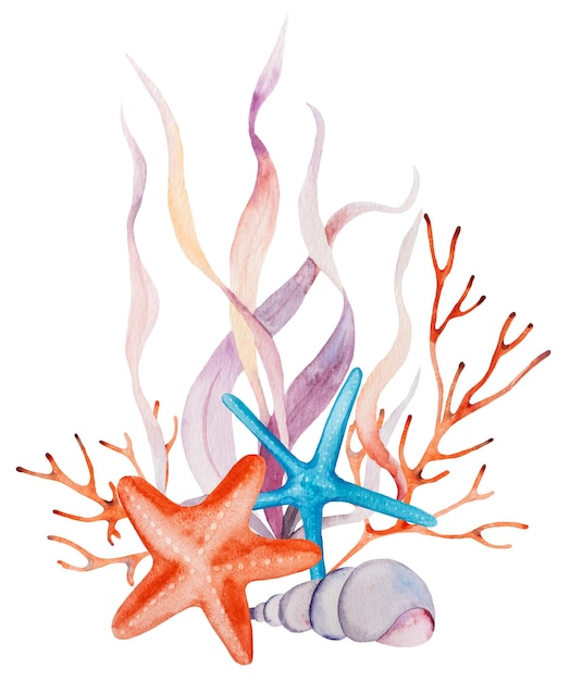 해초 조개에서 만든 수채화 배열 산호와 불가사리 절연 수중 꽃다발 인사말 카드에 대 한 그림 여름 해변 청첩장 공예 인쇄