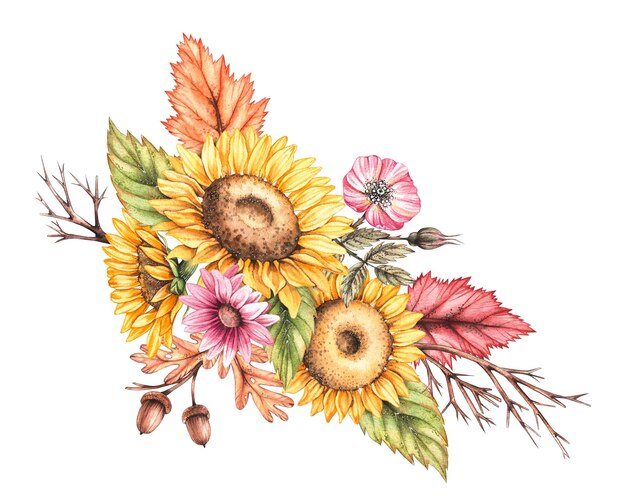 사진 가을의 해바라기 꽃과 함께 수채화 가을 작곡 크리산테마