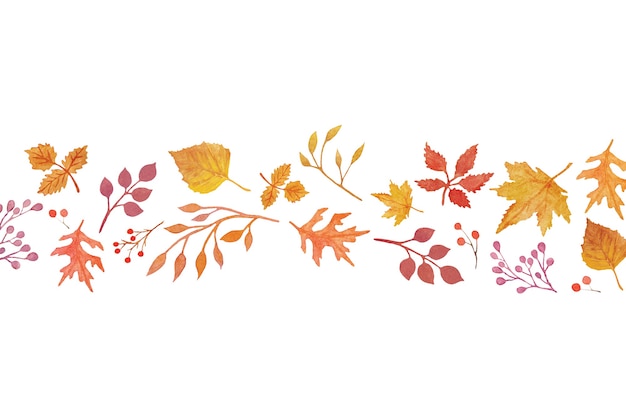 Watercolor autumn elements