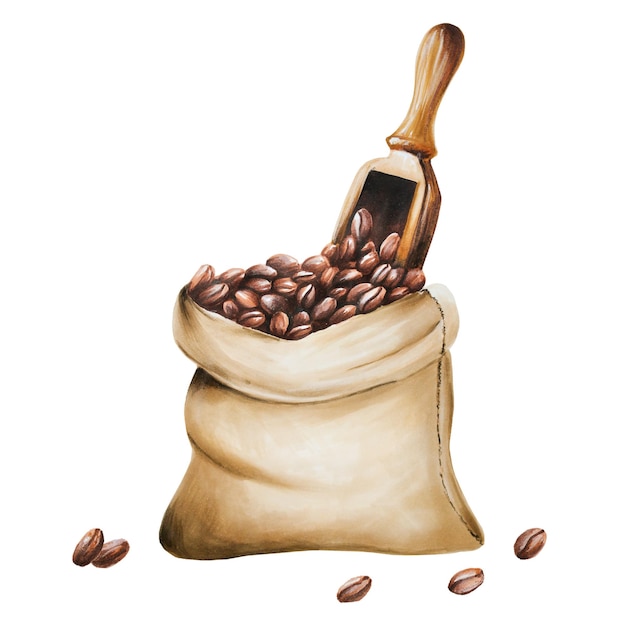 コーヒー豆の水彩画の袋イラスト分離の白地に手描きデザイナーのメニュー ショップ バー ビストロ レストランのポストカード包装紙カバーポスターやテキスタイル用