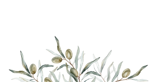 Watercolor banner with green olive leaves branchesWatercolor olive in bouquet Decorative element for greeting card Illustration