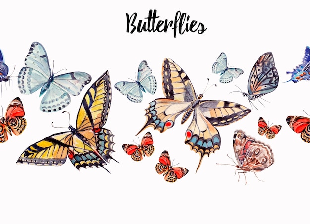 Photo watercolor beautiful butterflies  illustration