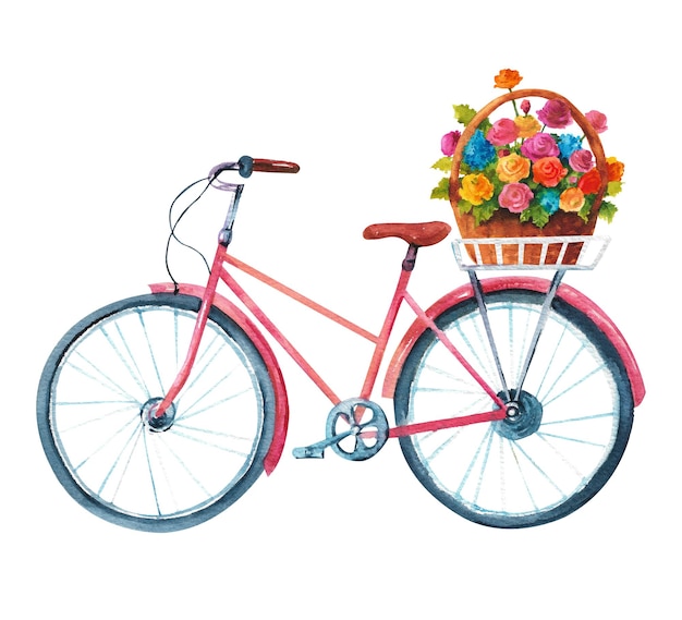 Watercolor bicycle An old pink bicycle with a basket of flowers for traveling around the city