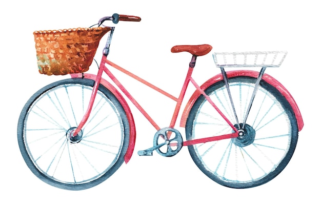 Watercolor bicycle Old pink bicycle with a wicker basket on a white background