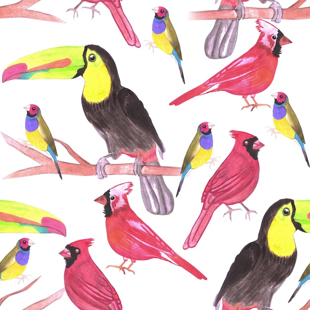 watercolor birds in tetrad color scheme seamless watercolor backgroundgreen yellow red blue