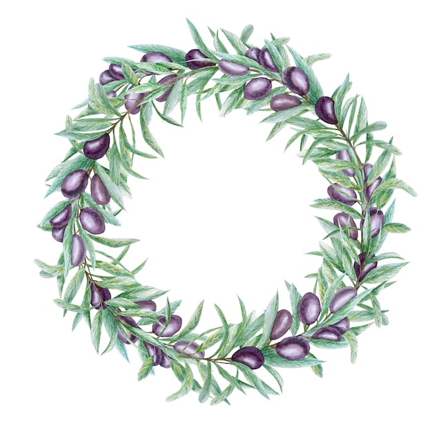 Watercolor black olive tree branch leaves wreath realistic olives illustration on white background