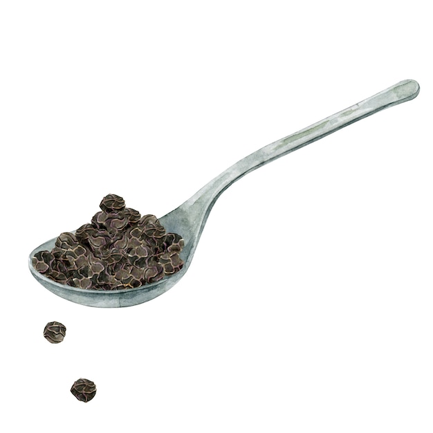 Watercolor black pepper in metal spoon.