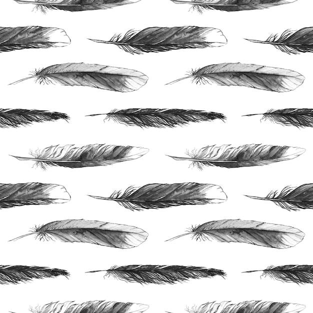 Watercolor black and white monochrome feather seamless pattern