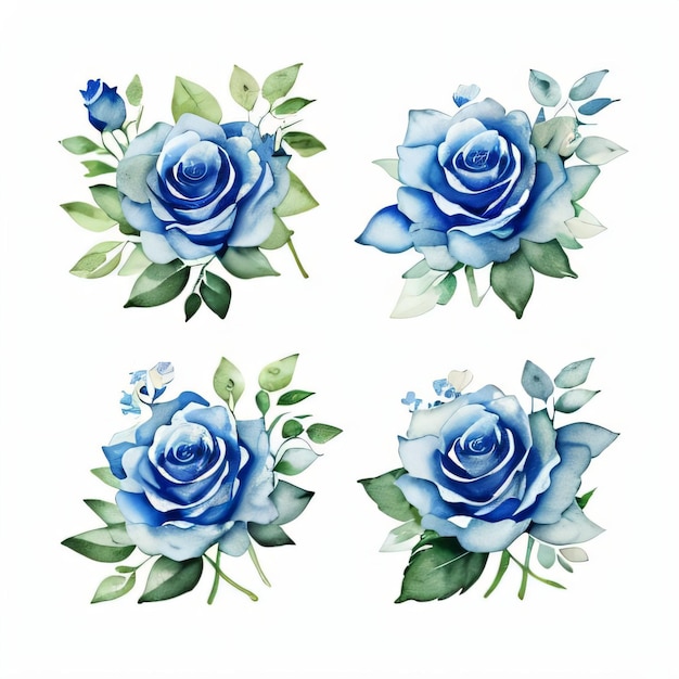 Photo watercolor blue roses clipart