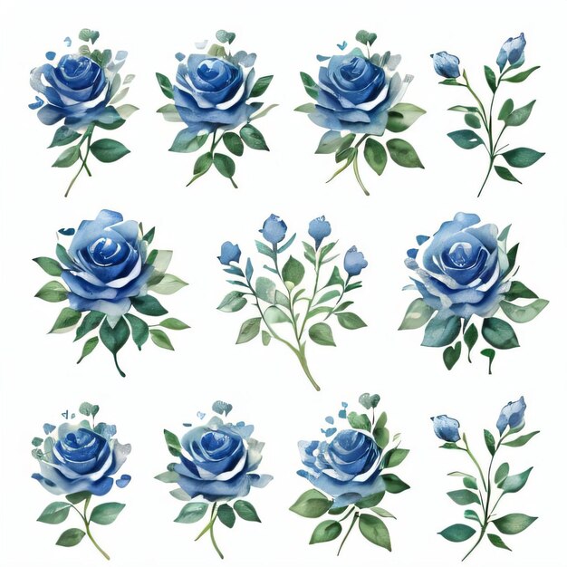 Photo watercolor blue roses clipart