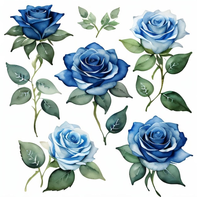 Photo watercolor blue roses clipart