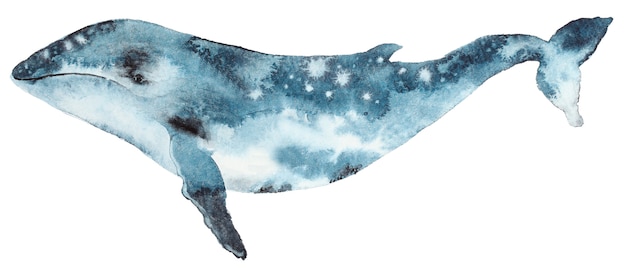 Watercolor blue whale