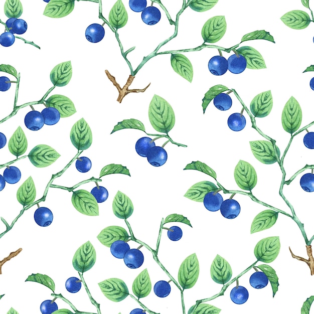 Watercolor blueberry pattern.