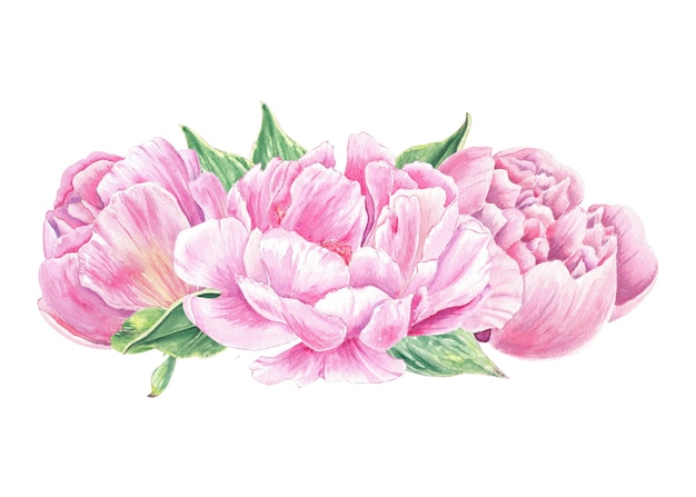 はがきの結婚式の招待状用に植物風に描かれた水彩の境界線の花ピンクの牡丹バラの手