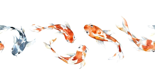 Watercolor border with koi carp Border