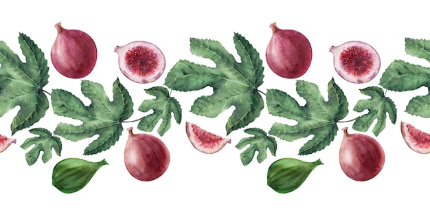 Watercolor borders with Fig leaves and fruits