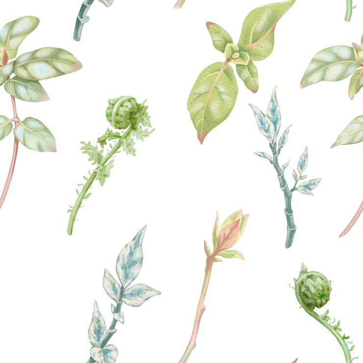 Photo 葉 と フェルン の 植物学 的 な 絵画