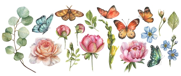 Set botanico acquerello con illustrazioni di farfalle colorate e fiori di peonia boccioli di rose