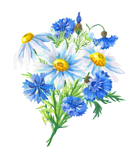 Camomiles, cornflowers, 녹색 잎의 수채화 꽃다발. 장식 디자인에 대 한 추상 꽃입니다. 꽃 그림. 여름 필드 허브.