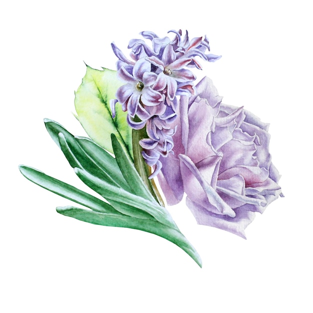 Watercolor bouquet with flowers. Rose. Hyacinth.   Illustration.  Hand drawn.