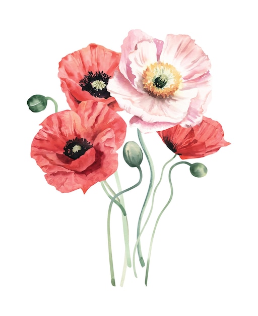 Photo watercolor bouquet with icelandic poppies perfect for invitation and social media