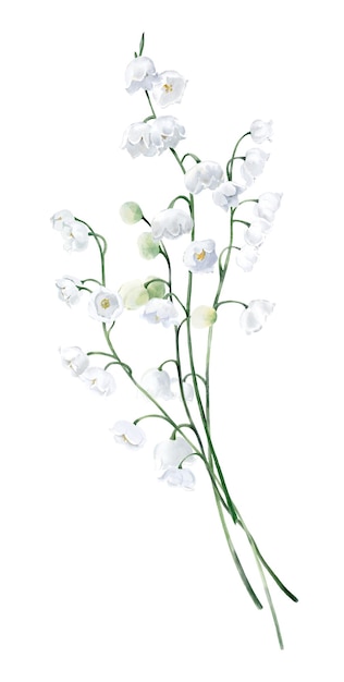 Watercolor Bouquet with Lily of the Valley