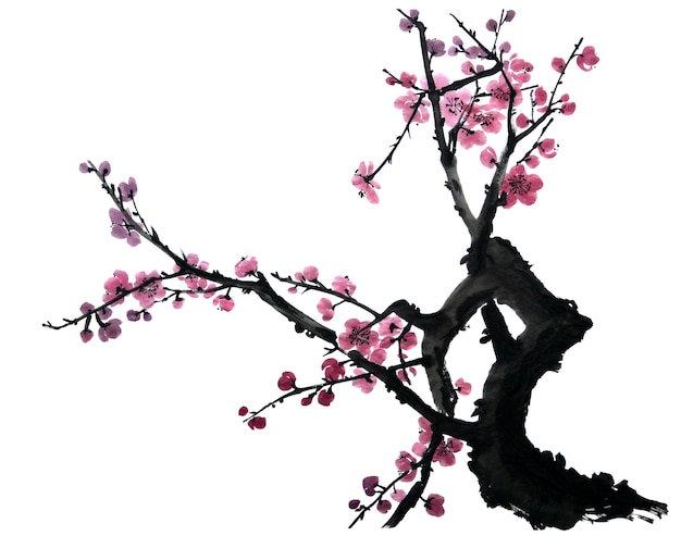 watercolor of branch of blossoming tree pink and red flowers of plum mei wild apricots and sakura