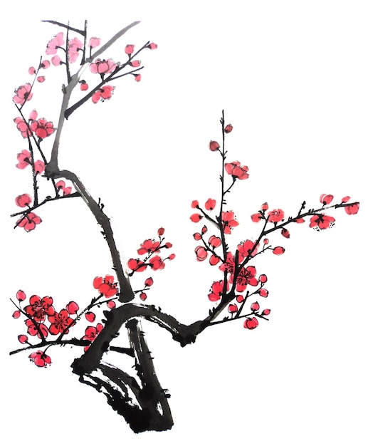 Photo watercolor of branch of blossoming tree pink and red flowers of plum mei wild apricots and sakura