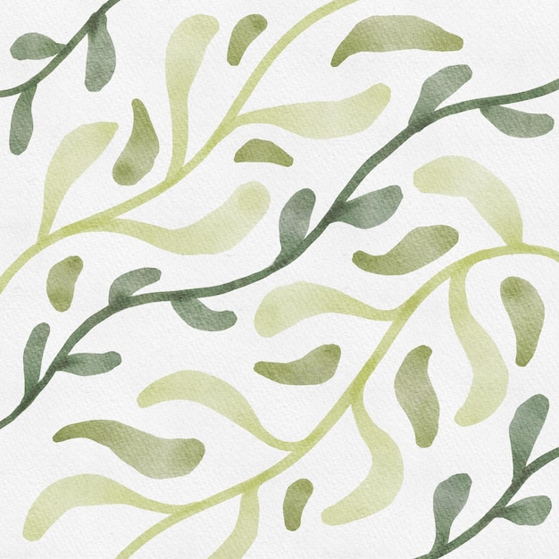 Watercolor Branch and Leaf Ivy Design