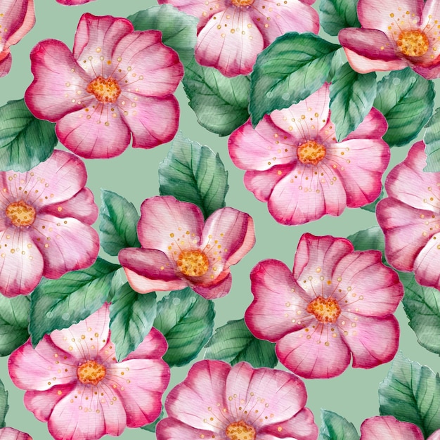 Watercolor briar rose seamless vintage ornate pattern Floral summer background
