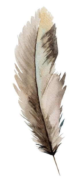 Watercolor brown and beige feather Bohemian illustration isolated Monochrome element for boho wedding stationery greeting cards and other printing and craft projects