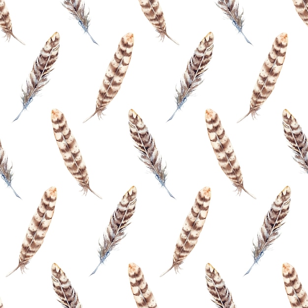 Watercolor brown beige stripe feather seamless pattern