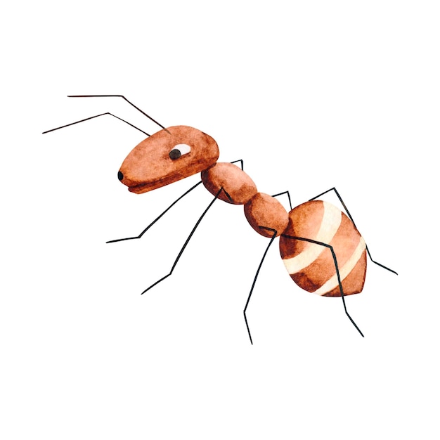 水彩の茶色のストライプアリ 架空のキャラクター 手描きの動物