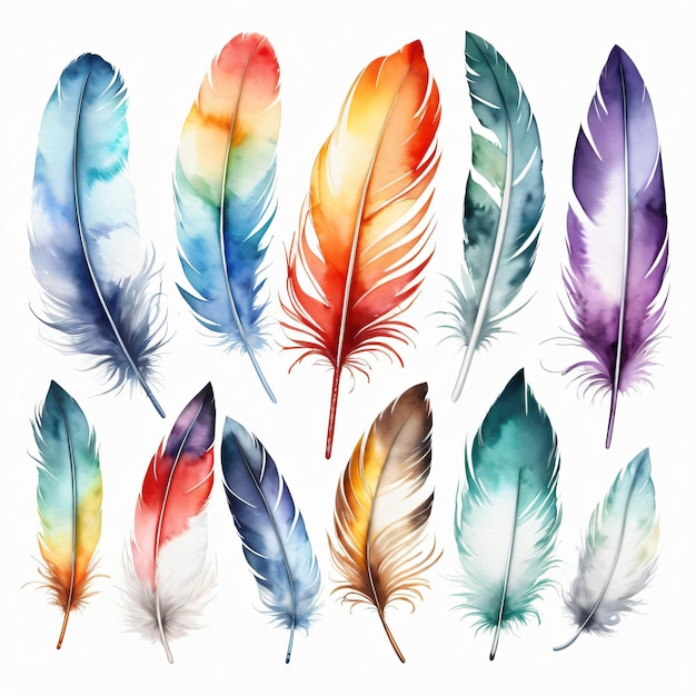 Watercolor bundle set of the colorful feathers set clipart
