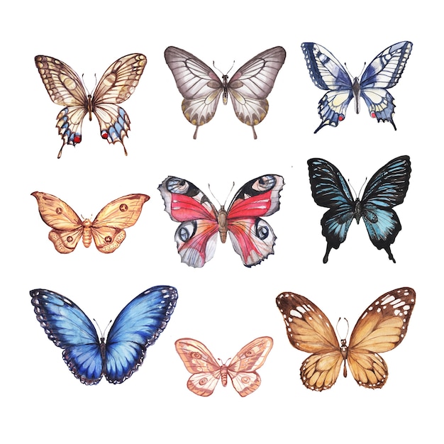 Photo watercolor butterflies set of butterflies hand drawn illustration