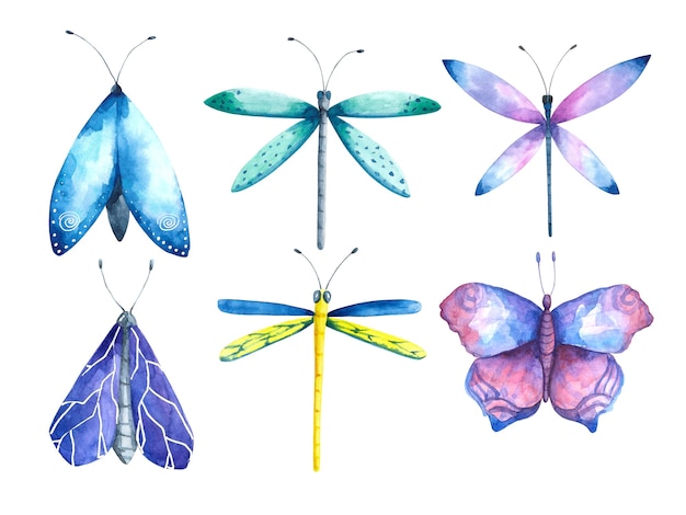 Watercolor butterfly set Dragonfly moth clip art collection