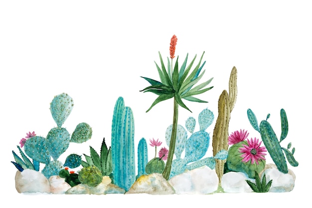 白い背景の水彩のカクタス絵画