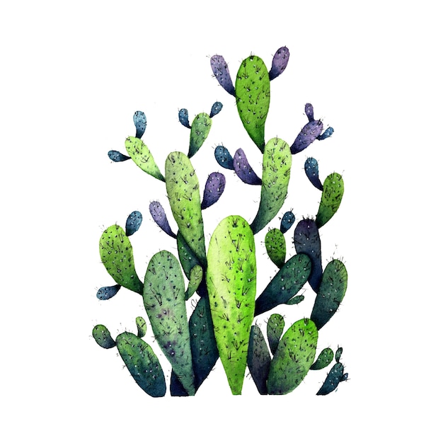 Premium Photo | Watercolor cactus